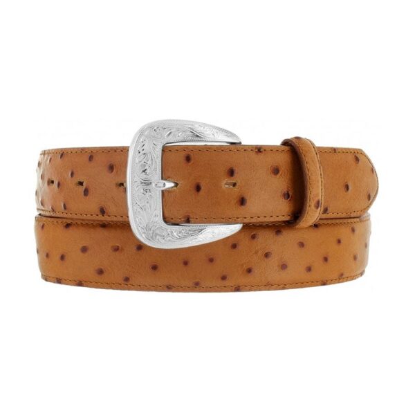 Ostrich Print Dress Belt - Brighton